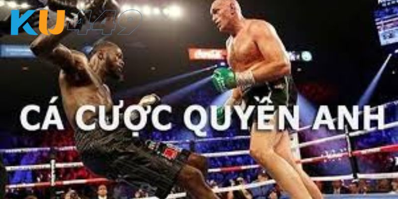 Giới thiệu khái quát về cá cược quyền anh Kubet